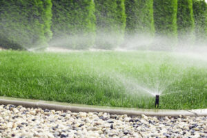 The Benefits of Installing a Lawn Sprinkler System