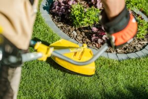 10 Reasons Why the Artistic Allure of Lawn Edging Matters