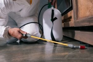 The Crucial Role of Pest Control in safeguarding property value
