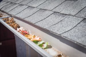 How Often to Clean Gutters