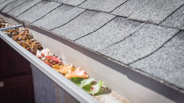 How Often Should You Get Your Gutter Cleaned