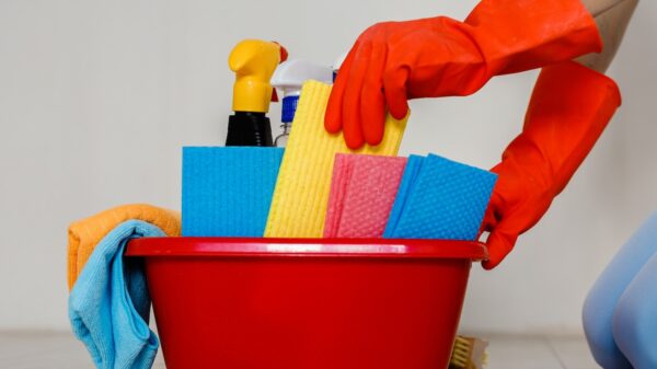 DIY vs. Professional End of Lease Cleaning: Pros and Cons
