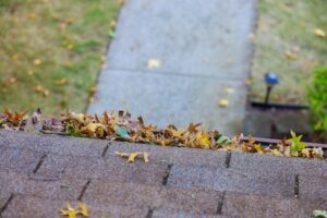 How Often Should You Get Gutter Cleaned