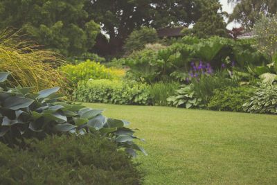 Guide to a Garden that Extends your Home