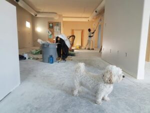 Renovating Your Home